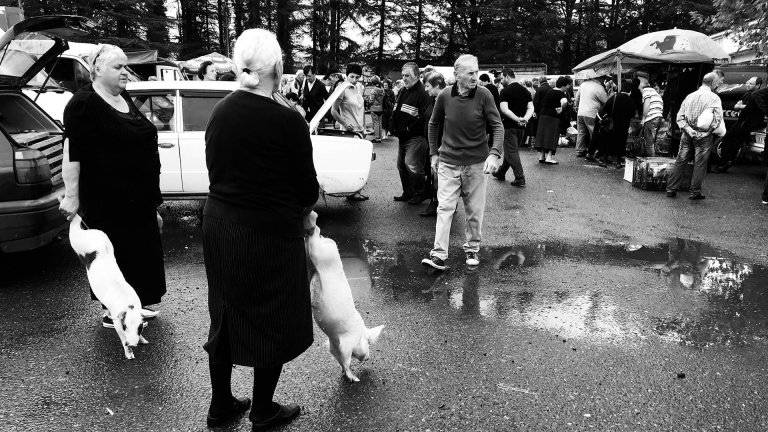 Flere mennesker på et marked. To damer holder en gris hver i bakbeinene